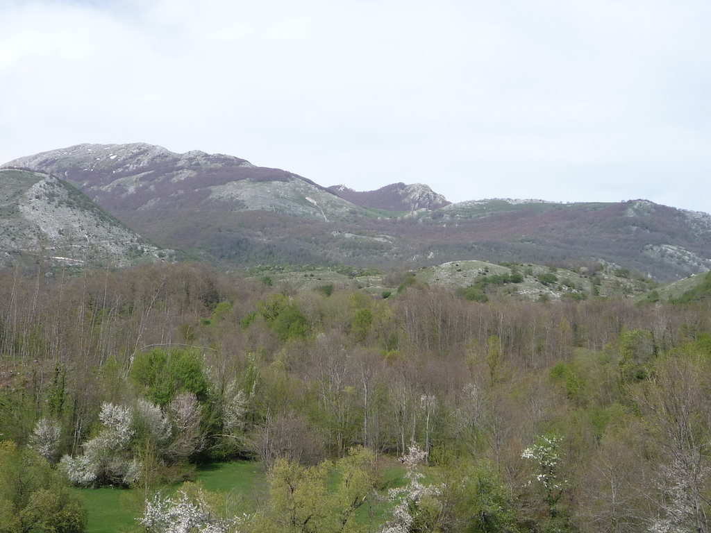 Cerro Grosso